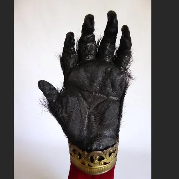 16” REAL TAXIDERMY “CURSED” MONKEY PAW HAND IN GLASS DOME DISPLAY BASE ODDITY - Picture 13 of 15